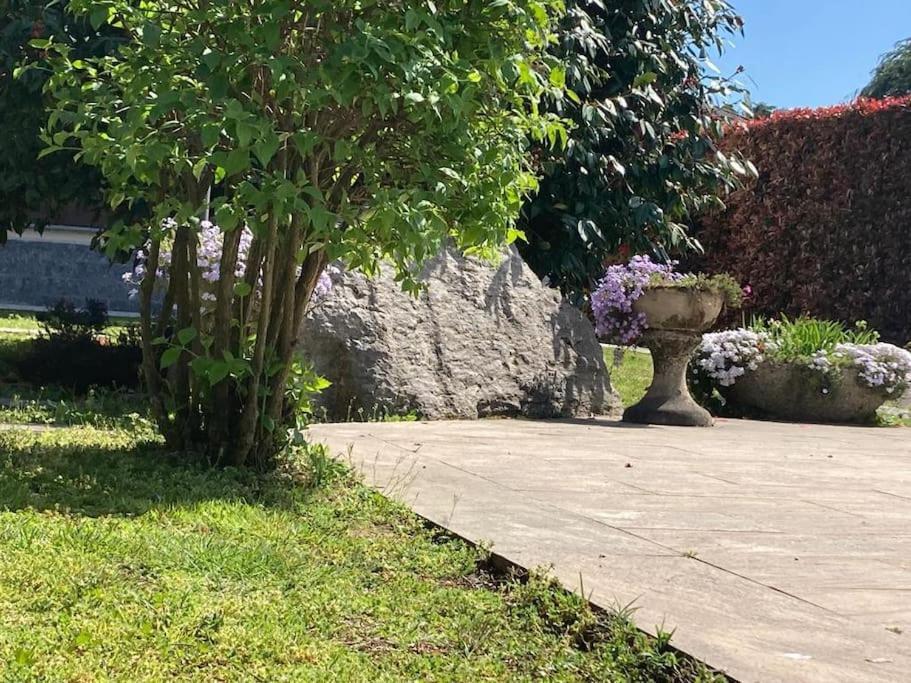Un Bell Incontro Apartment Borgo Ticino Luaran gambar