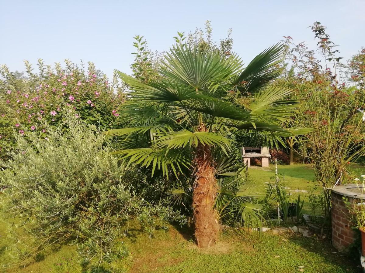 Un Bell Incontro Apartment Borgo Ticino Luaran gambar
